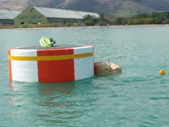 Seanergy marine operations project in Mauritius